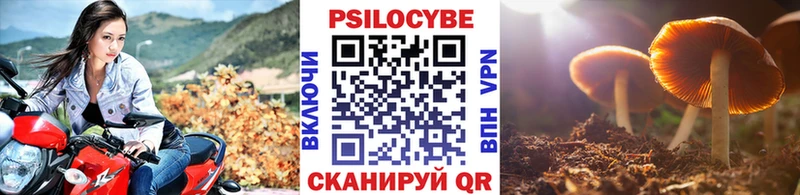 Галлюциногенные грибы Psilocybe  Томск 